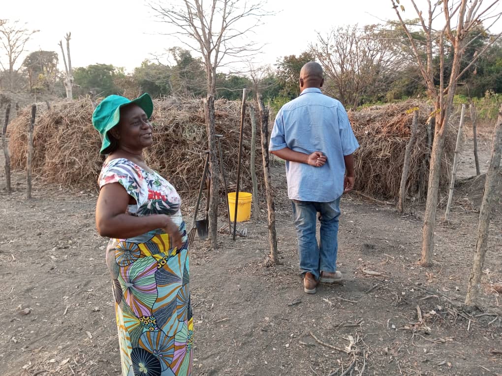 Compost manure and organic fertilizer