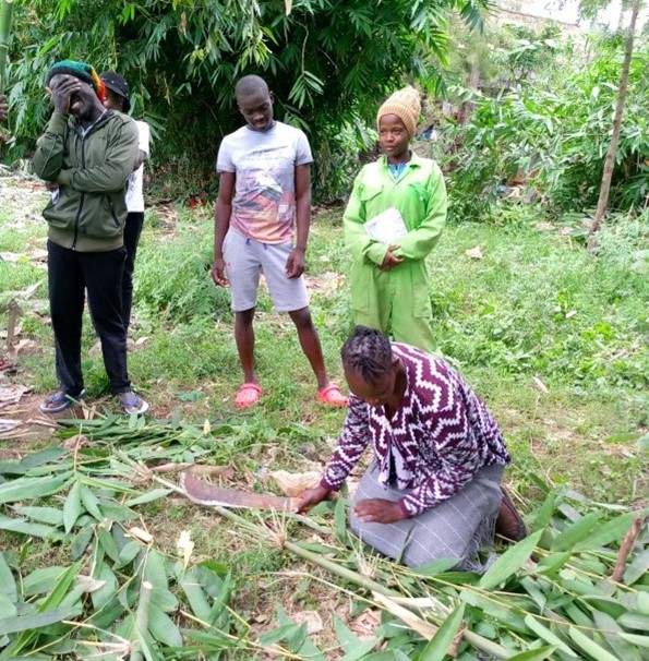 Bamboo briquettes