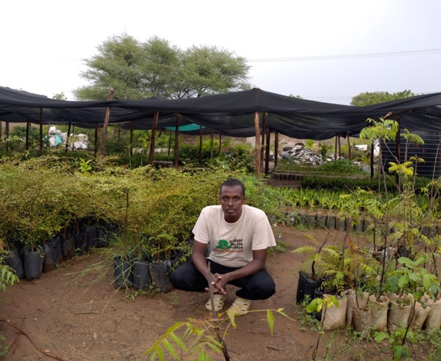 Abdis tree planting