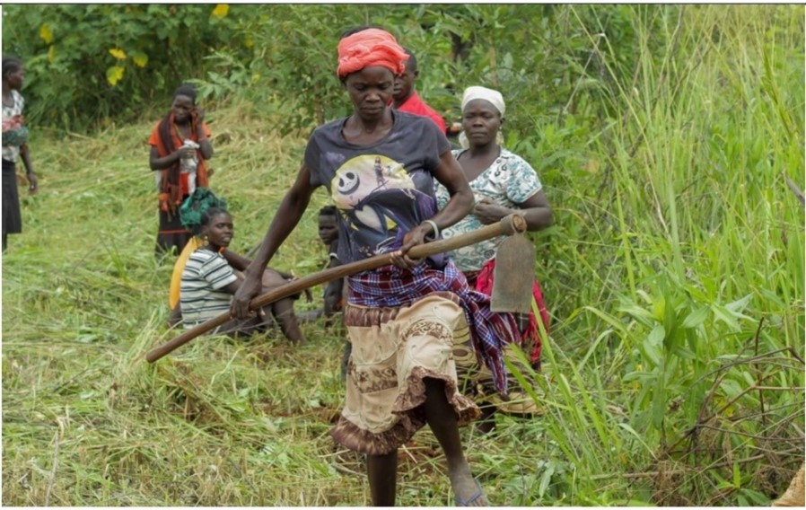 Group members of Gum-kayo Youth farmers group preparing a Nursery Garden for planting seedlings. Photo by Byaruhanga Frank-Digital Inspirator.  