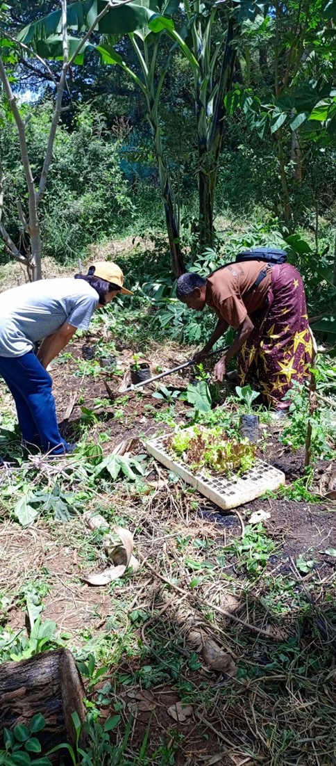 compost