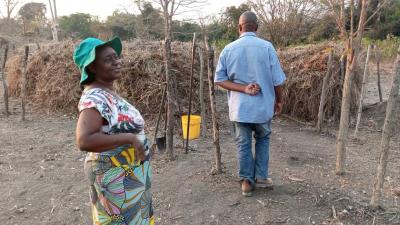 Compost manure and organic fertilizer