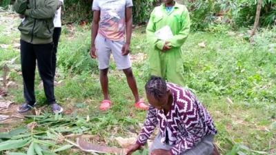 Bamboo briquettes