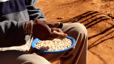 Shashe Agroecology School