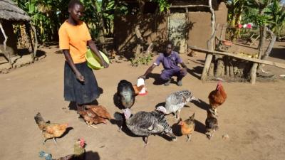 Acucu Agro-Ecology Center